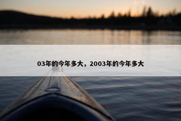 03年的今年多大，2003年的今年多大