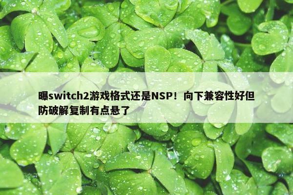 曝switch2游戏格式还是NSP！向下兼容性好但防破解复制有点悬了