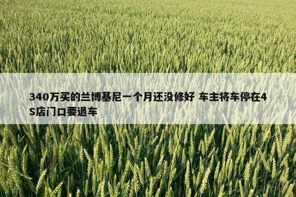 340万买的兰博基尼一个月还没修好 车主将车停在4S店门口要退车