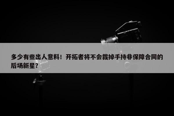 多少有些出人意料！开拓者将不会裁掉手持非保障合同的后场新星？