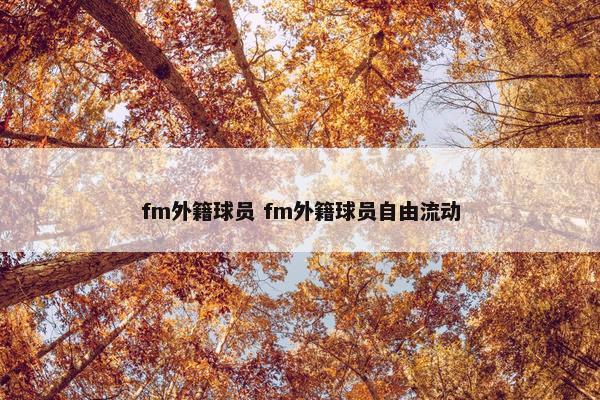 fm外籍球员 fm外籍球员自由流动