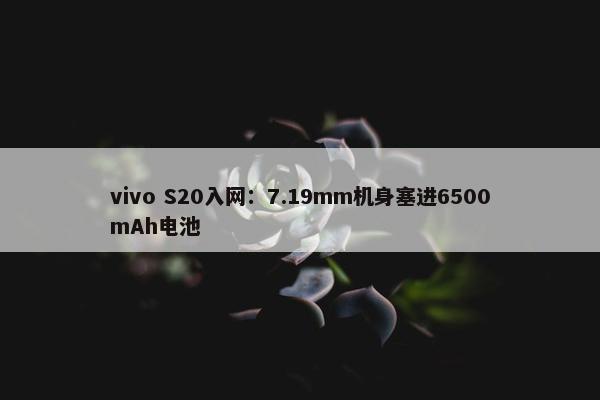 vivo S20入网：7.19mm机身塞进6500mAh电池