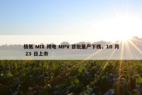 极氪 MIX 纯电 MPV 首批量产下线，10 月 23 日上市