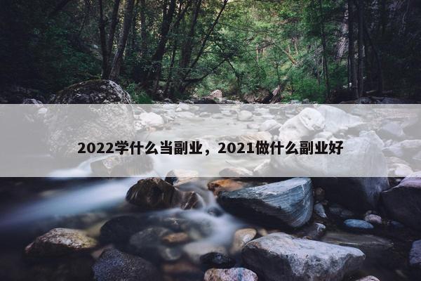 2022学什么当副业，2021做什么副业好