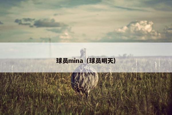 球员mina（球员明天）