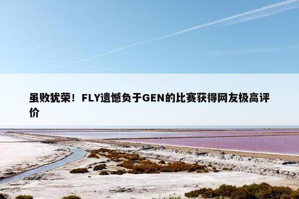 虽败犹荣！FLY遗憾负于GEN的比赛获得网友极高评价