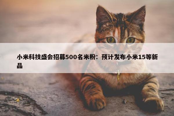 小米科技盛会招募500名米粉：预计发布小米15等新品