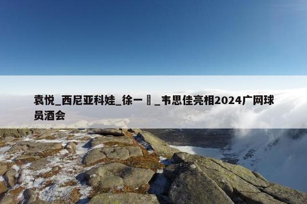 袁悦_西尼亚科娃_徐一璠_韦思佳亮相2024广网球员酒会