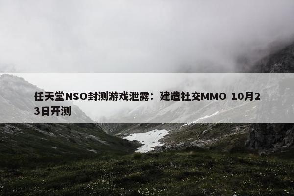 任天堂NSO封测游戏泄露：建造社交MMO 10月23日开测