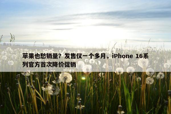 苹果也愁销量？发售仅一个多月，iPhone 16系列官方首次降价促销