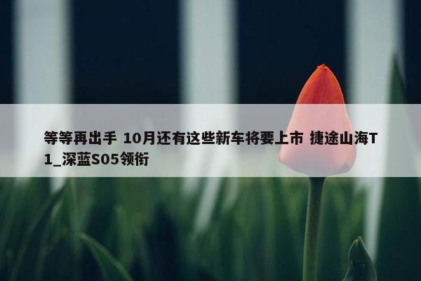 等等再出手 10月还有这些新车将要上市 捷途山海T1_深蓝S05领衔