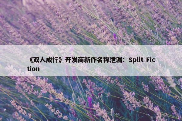 《双人成行》开发商新作名称泄漏：Split Fiction