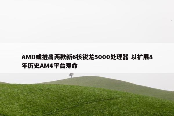 AMD或推出两款新6核锐龙5000处理器 以扩展8年历史AM4平台寿命