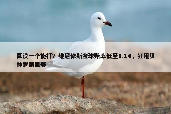 真没一个能打？维尼修斯金球赔率低至1.14，狂甩贝林罗德里等