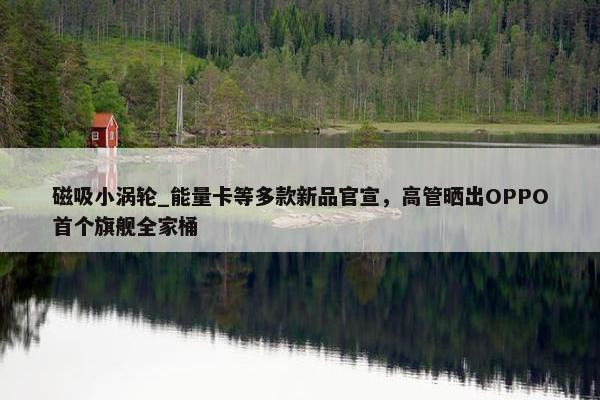 磁吸小涡轮_能量卡等多款新品官宣，高管晒出OPPO首个旗舰全家桶