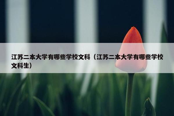 江苏二本大学有哪些学校文科（江苏二本大学有哪些学校文科生）