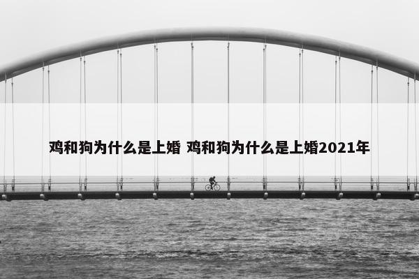 鸡和狗为什么是上婚 鸡和狗为什么是上婚2021年