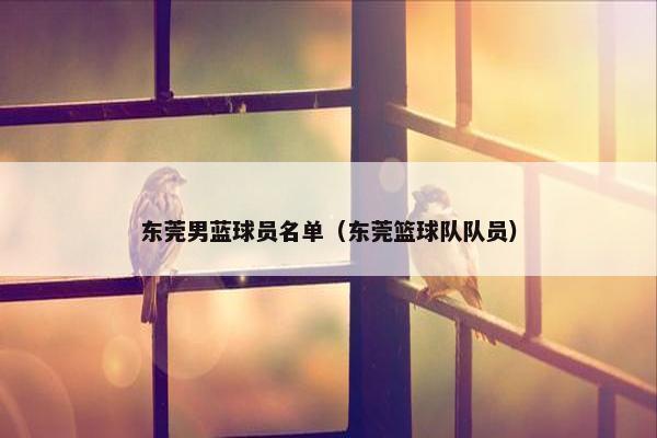 东莞男蓝球员名单（东莞篮球队队员）