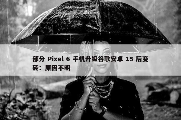 部分 Pixel 6 手机升级谷歌安卓 15 后变砖：原因不明