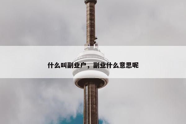 什么叫副业户，副业什么意思呢