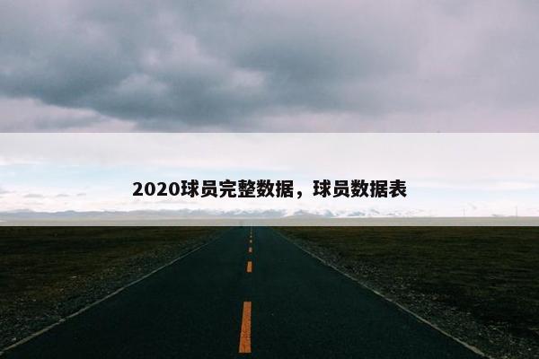 2020球员完整数据，球员数据表