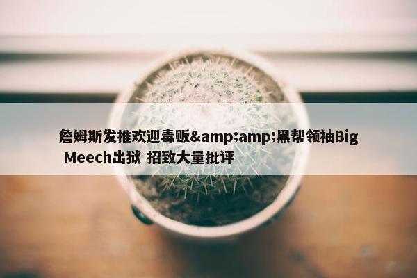 詹姆斯发推欢迎毒贩&amp;黑帮领袖Big Meech出狱 招致大量批评