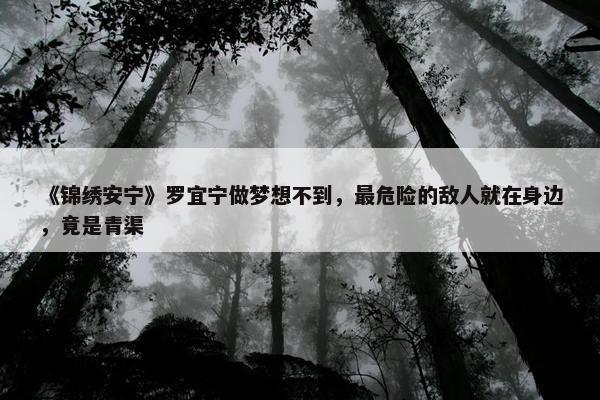 《锦绣安宁》罗宜宁做梦想不到，最危险的敌人就在身边，竟是青渠