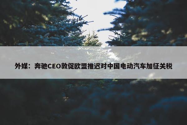 外媒：奔驰CEO敦促欧盟推迟对中国电动汽车加征关税