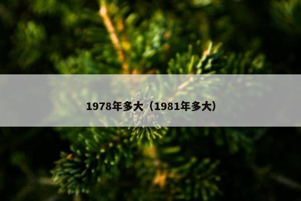 1978年多大（1981年多大）