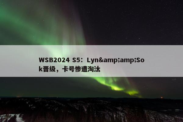 WSB2024 S5：Lyn&amp;Sok晋级，卡号惨遭淘汰