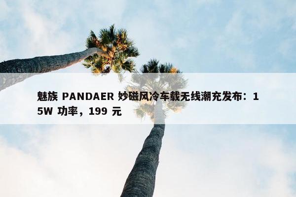 魅族 PANDAER 妙磁风冷车载无线潮充发布：15W 功率，199 元