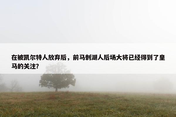 在被凯尔特人放弃后，前马刺湖人后场大将已经得到了皇马的关注？