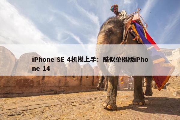 iPhone SE 4机模上手：酷似单摄版iPhone 14