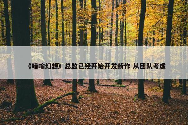 《暗喻幻想》总监已经开始开发新作 从团队考虑