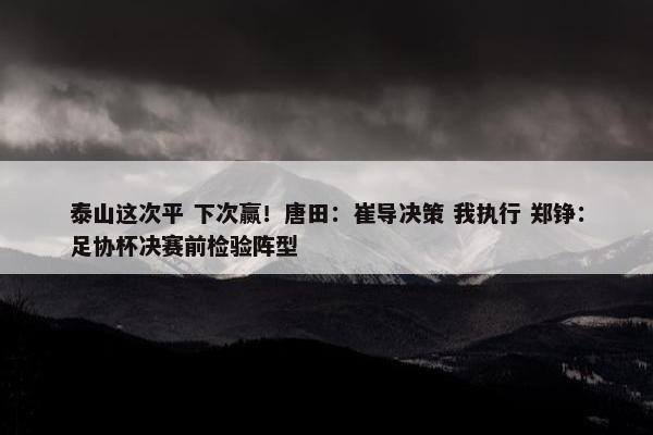 泰山这次平 下次赢！唐田：崔导决策 我执行 郑铮：足协杯决赛前检验阵型