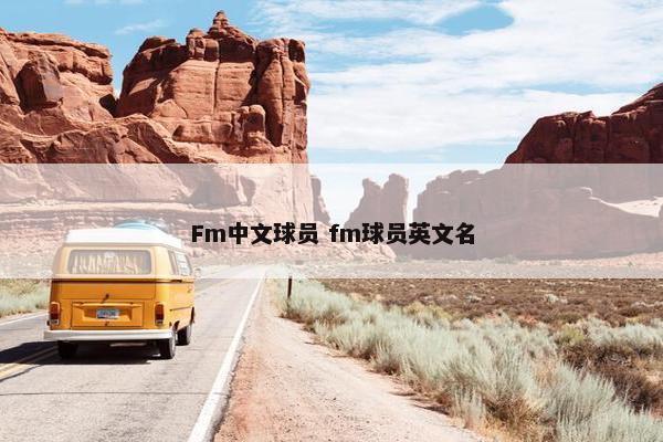 Fm中文球员 fm球员英文名