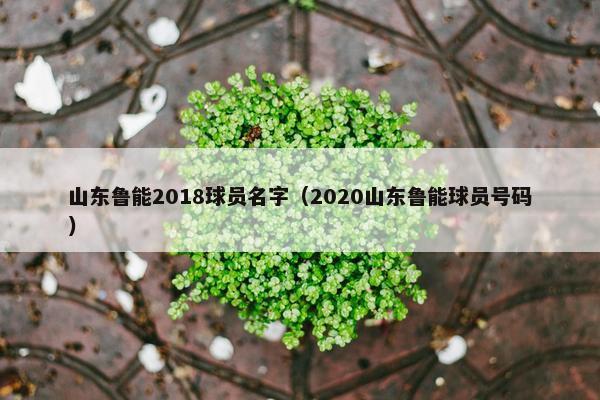 山东鲁能2018球员名字（2020山东鲁能球员号码）