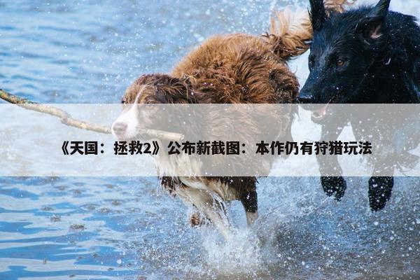 《天国：拯救2》公布新截图：本作仍有狩猎玩法