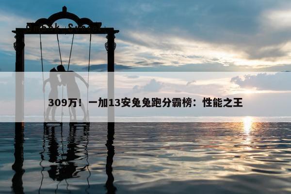 309万！一加13安兔兔跑分霸榜：性能之王