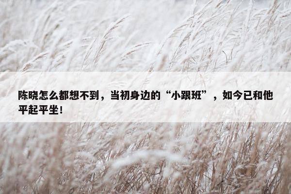 陈晓怎么都想不到，当初身边的“小跟班”，如今已和他平起平坐！