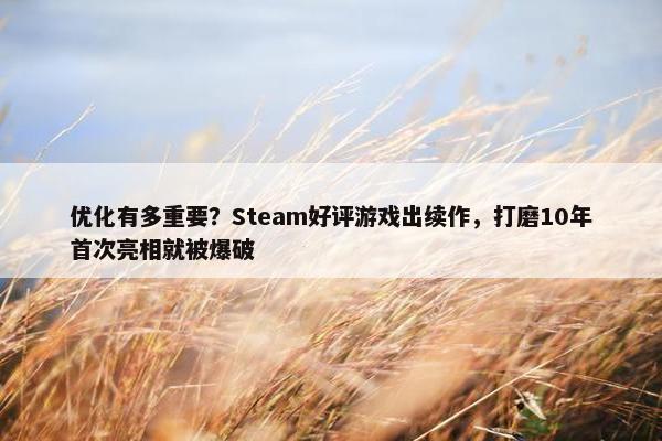 优化有多重要？Steam好评游戏出续作，打磨10年首次亮相就被爆破