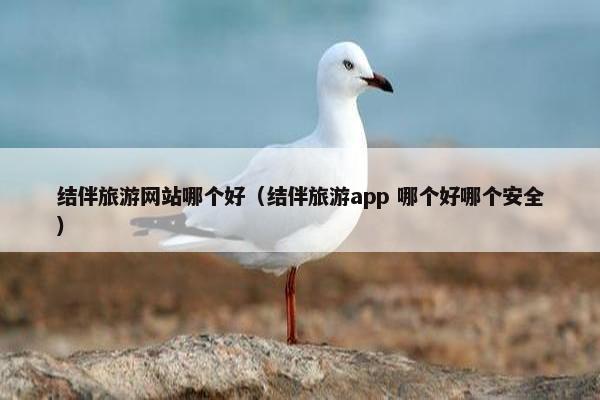 结伴旅游网站哪个好（结伴旅游app 哪个好哪个安全）