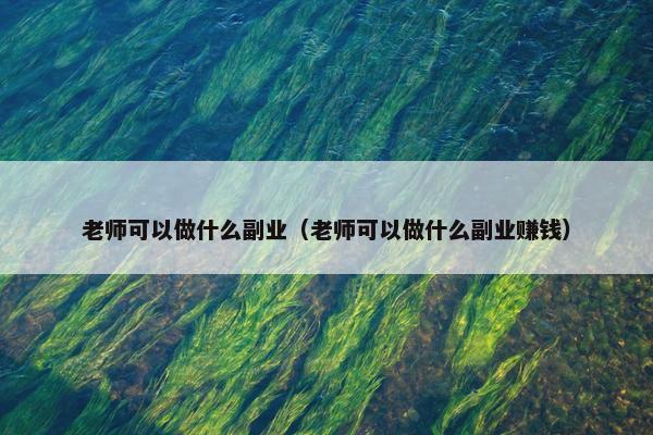 老师可以做什么副业（老师可以做什么副业赚钱）