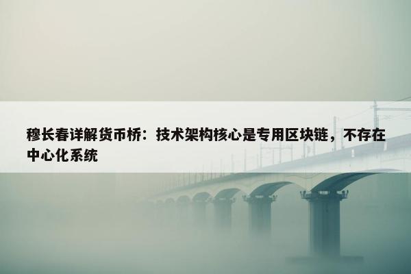 穆长春详解货币桥：技术架构核心是专用区块链，不存在中心化系统