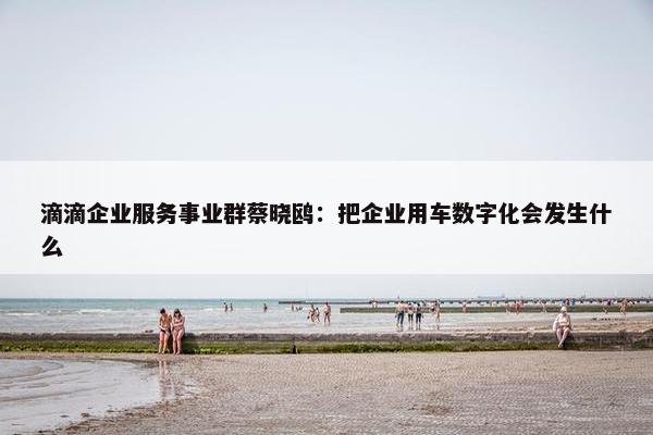 滴滴企业服务事业群蔡晓鸥：把企业用车数字化会发生什么