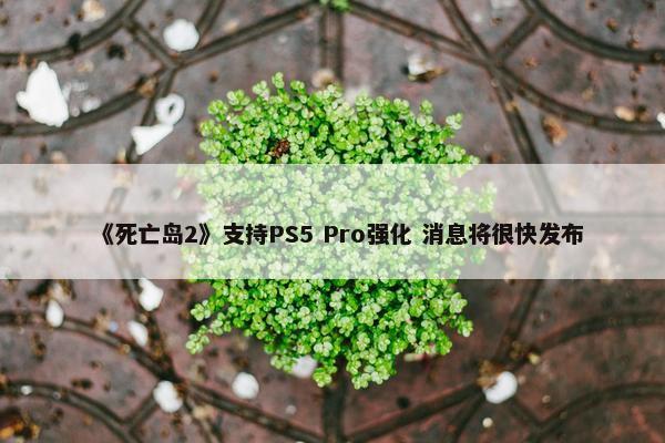 《死亡岛2》支持PS5 Pro强化 消息将很快发布