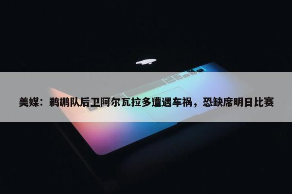 美媒：鹈鹕队后卫阿尔瓦拉多遭遇车祸，恐缺席明日比赛