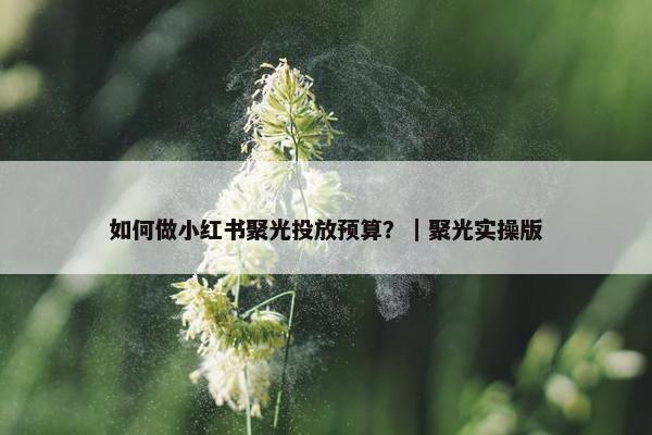 如何做小红书聚光投放预算？｜聚光实操版