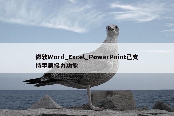 微软Word_Excel_PowerPoint已支持苹果接力功能