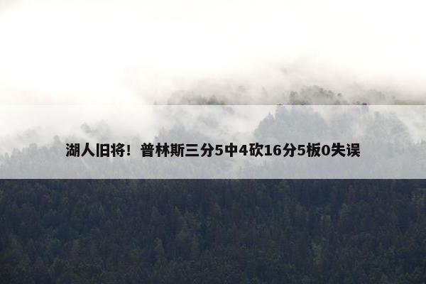 湖人旧将！普林斯三分5中4砍16分5板0失误